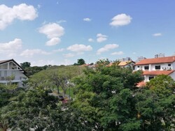 Serangoon Garden Estate (D19), Terrace #273411921